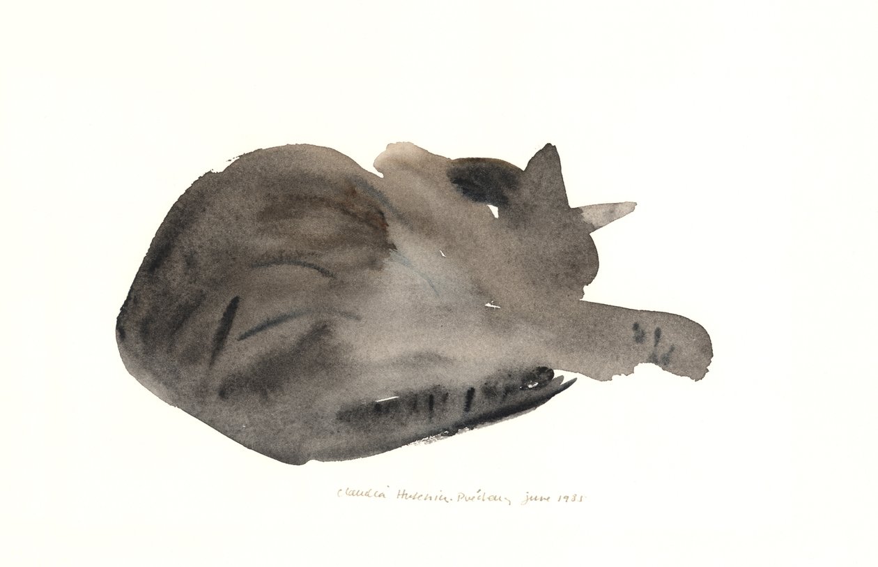 Sleeping cat, 1985 by Claudia Hutchins Puechavy