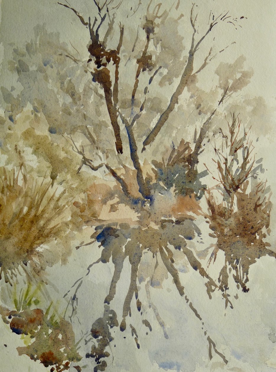 Leg of Mutton, Eton, 2010 by Clive Wilson