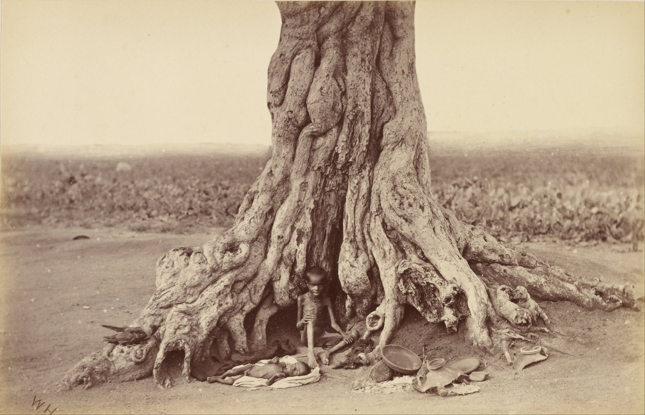 Forsaken by Willoughby Wallace Hooper