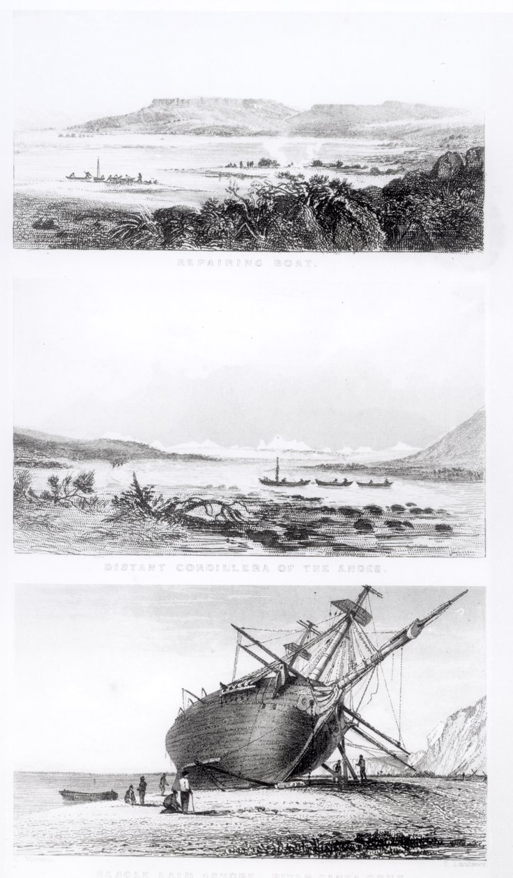 Scenes of the 