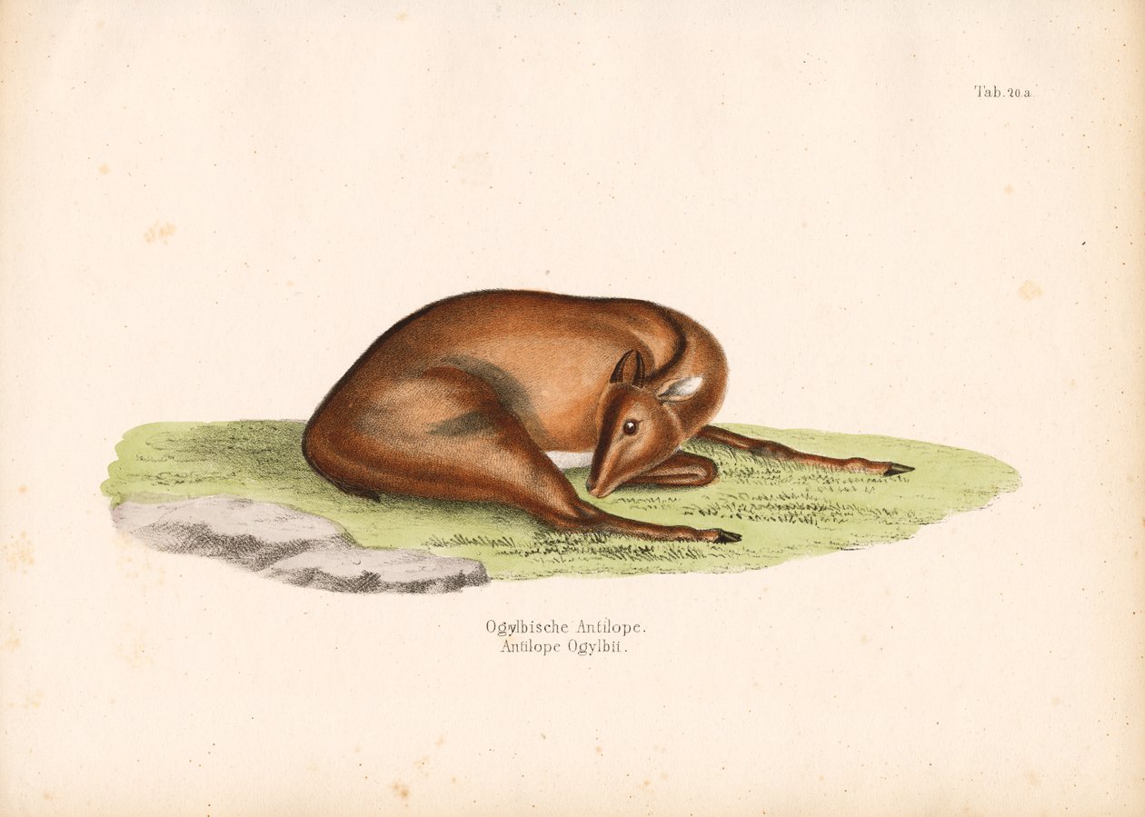 Ogilby