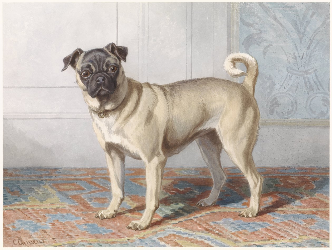 Portrait of Edwin vom Rath