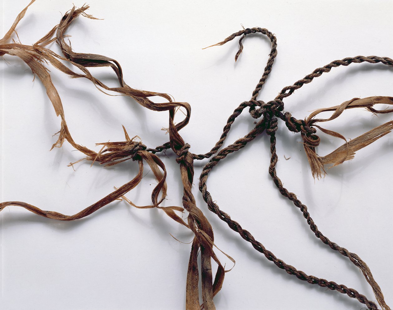 Net Probably Used to Catch Birds, Found with the Oetzi Iceman by Copper Age