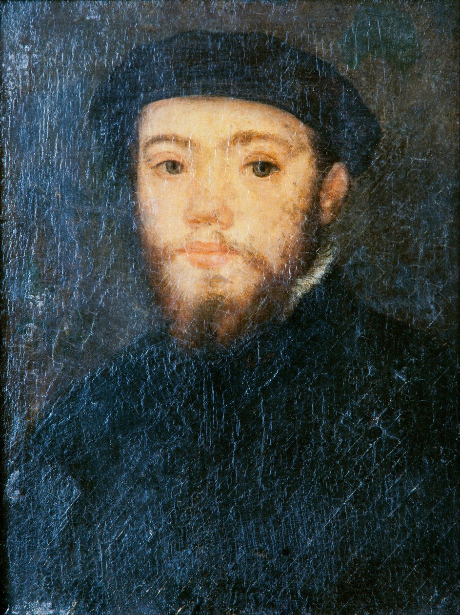 Portrait of a Man by Corneille de Lyon