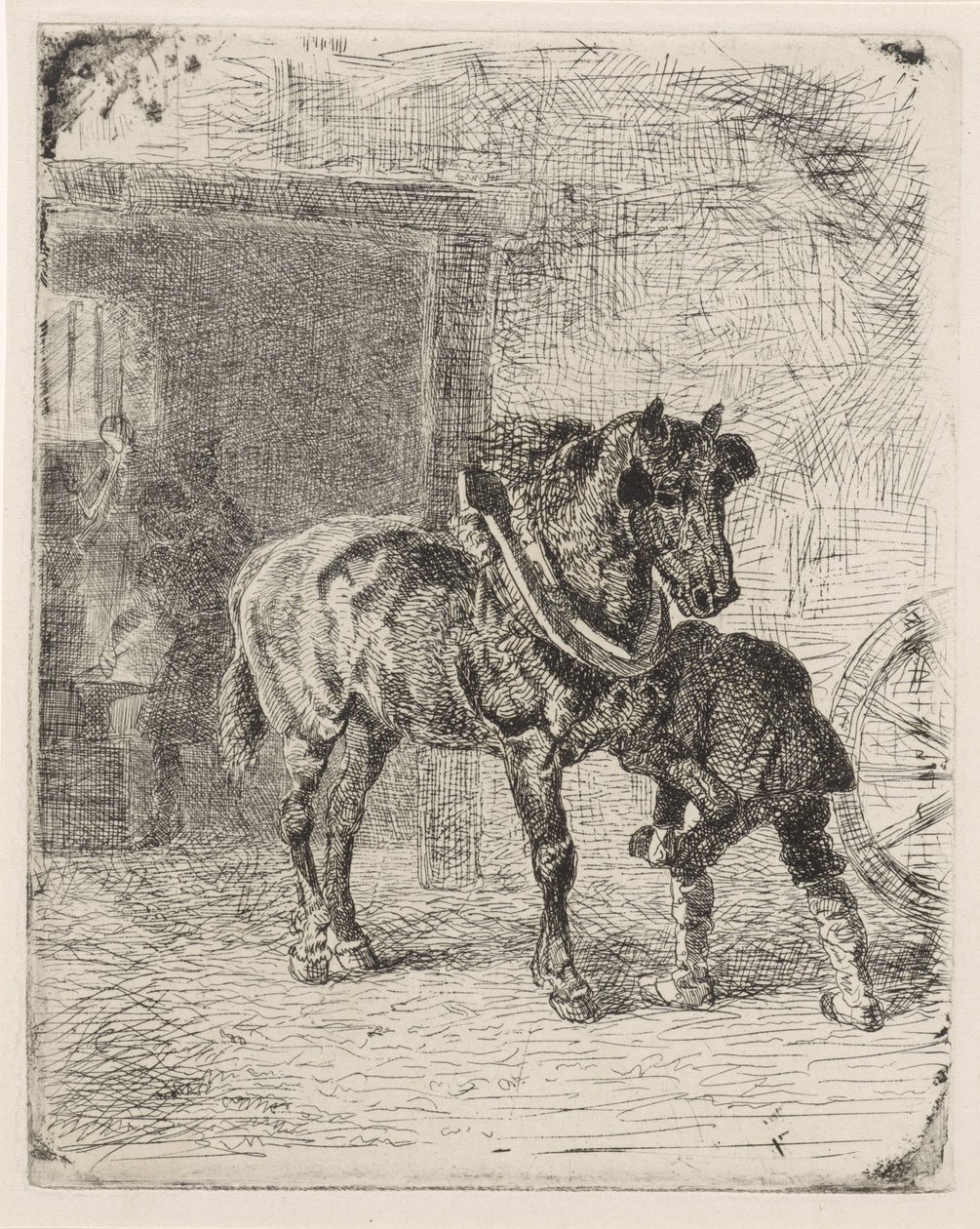 Horse Being Shod in a Blacksmith