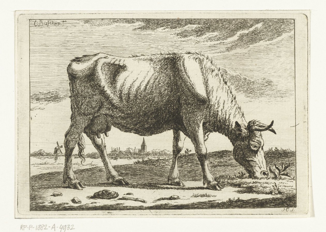 Landscape with Grazing Cow by Cornelis  Bisschop