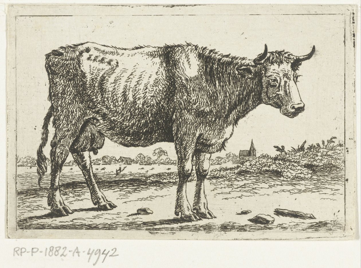 Landscape with Cow by Cornelis  Bisschop