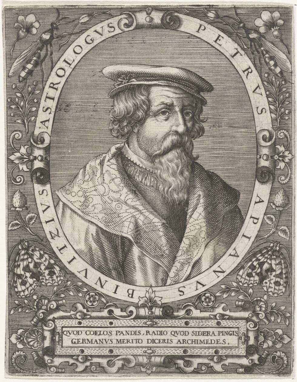 Portrait of Petrus Apianus by Cornelis Galle (I)