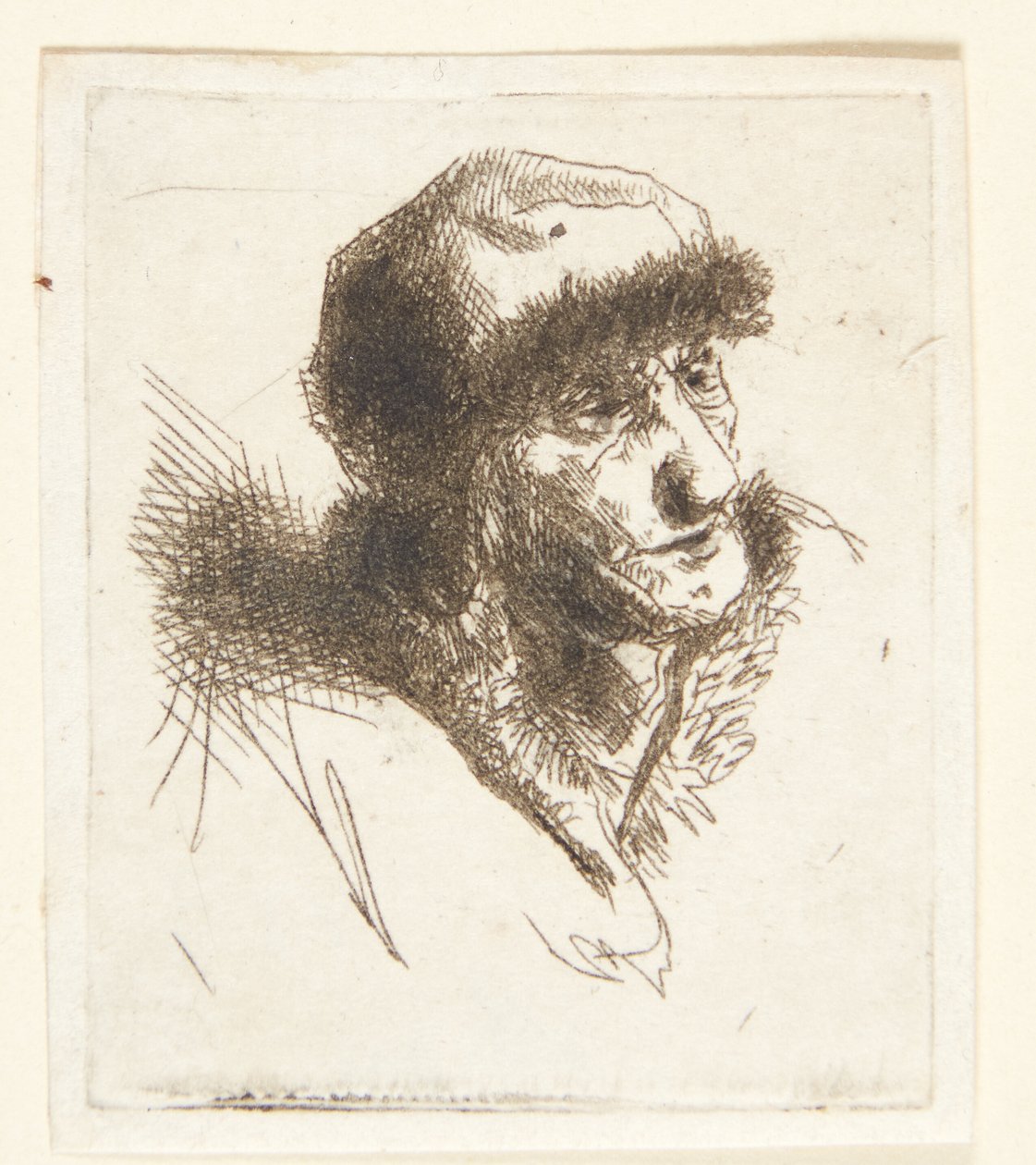 Old Woman with Fur Hat by Cornelis Pietersz Bega