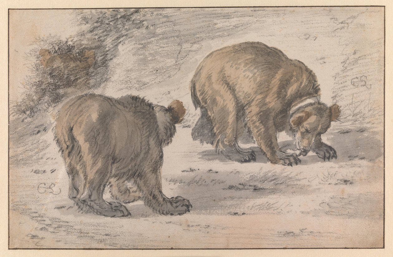 A Bear in Various Poses by Cornelis Saftleven