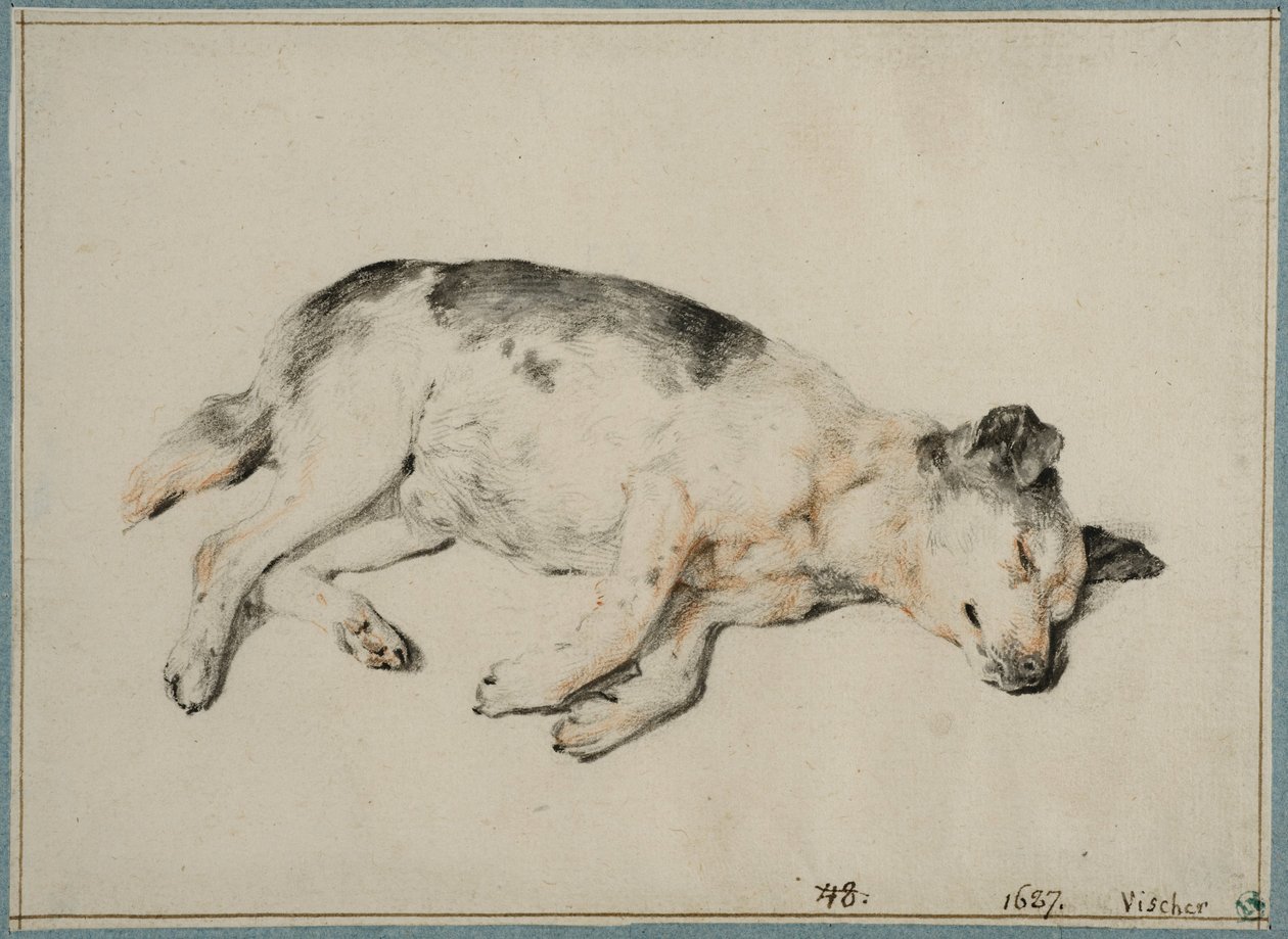 Study of a Sleeping Dog by Cornelis Visscher