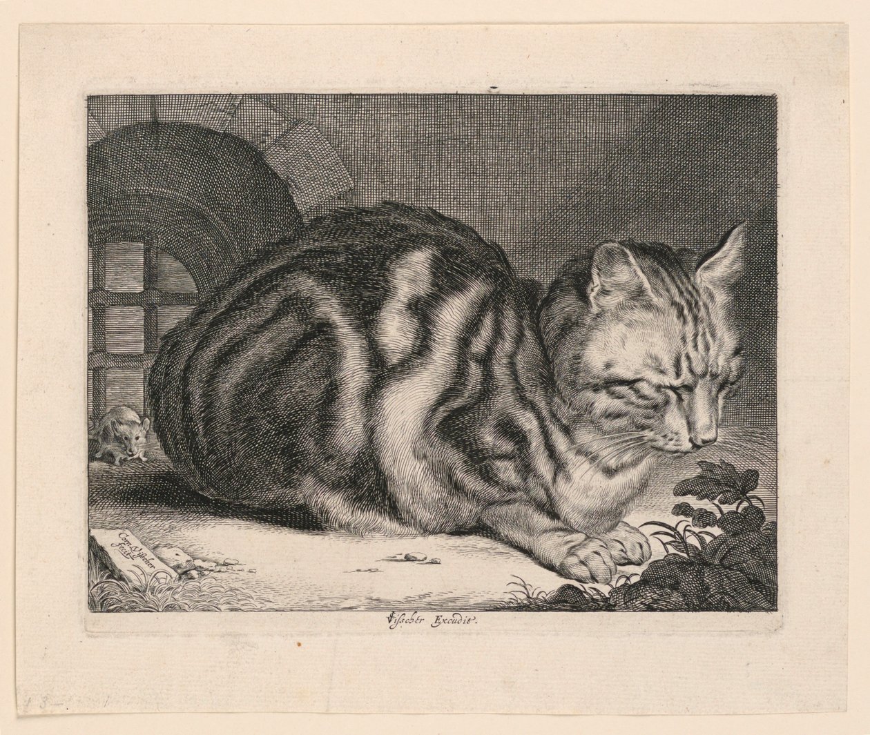 The Large Cat by Cornelis Visscher