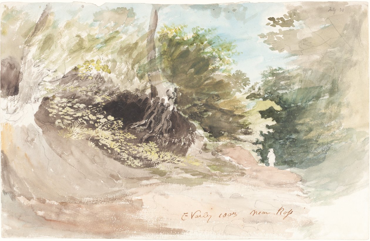 A Wooded Lane near Ross by Cornelius Varley