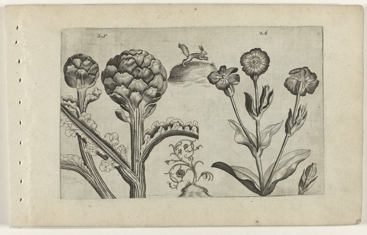 Artichoke and Prickly Thistle by Crispijn van de Passe (I) (attributed to)