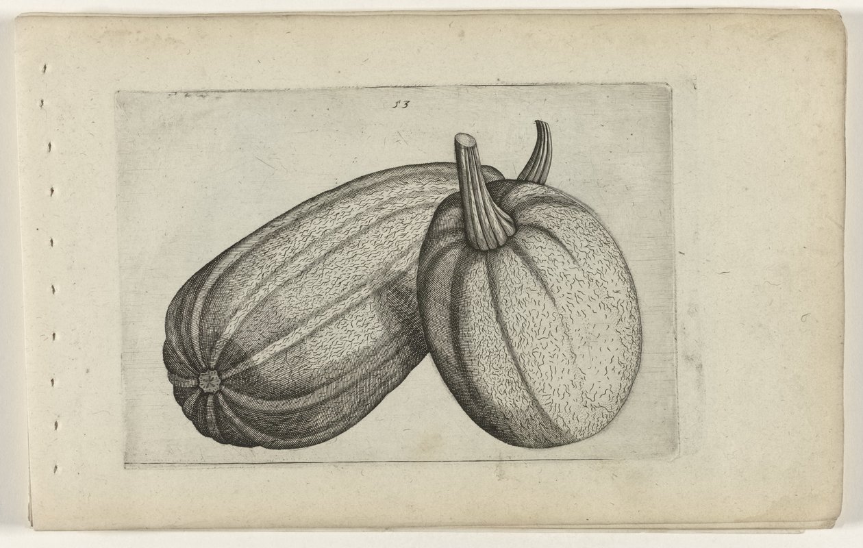 Two Melons (Cognoscite Lilia) by Crispijn van de Passe (I) (attributed to)