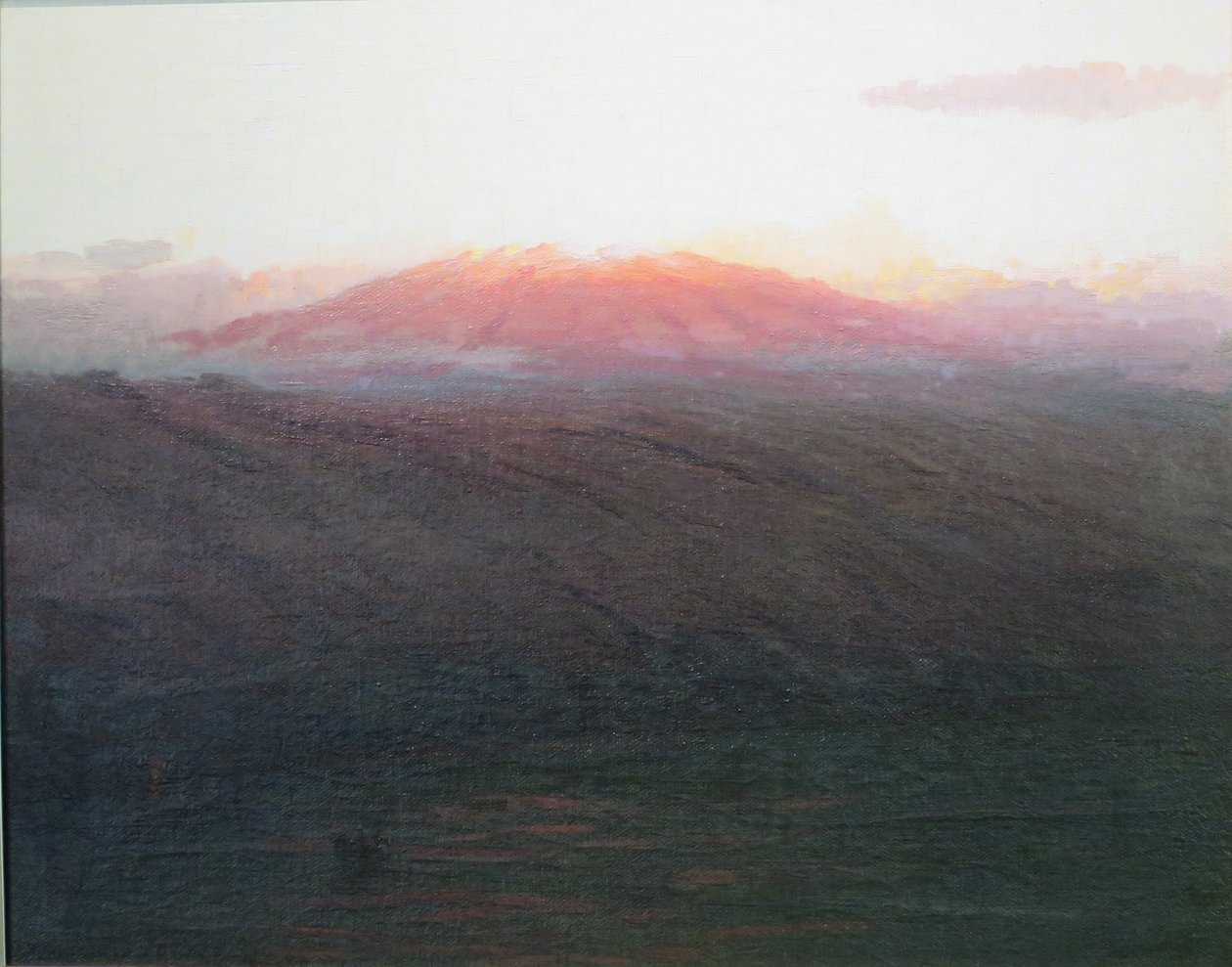 Mauna Kea by D. Howard Hitchcock