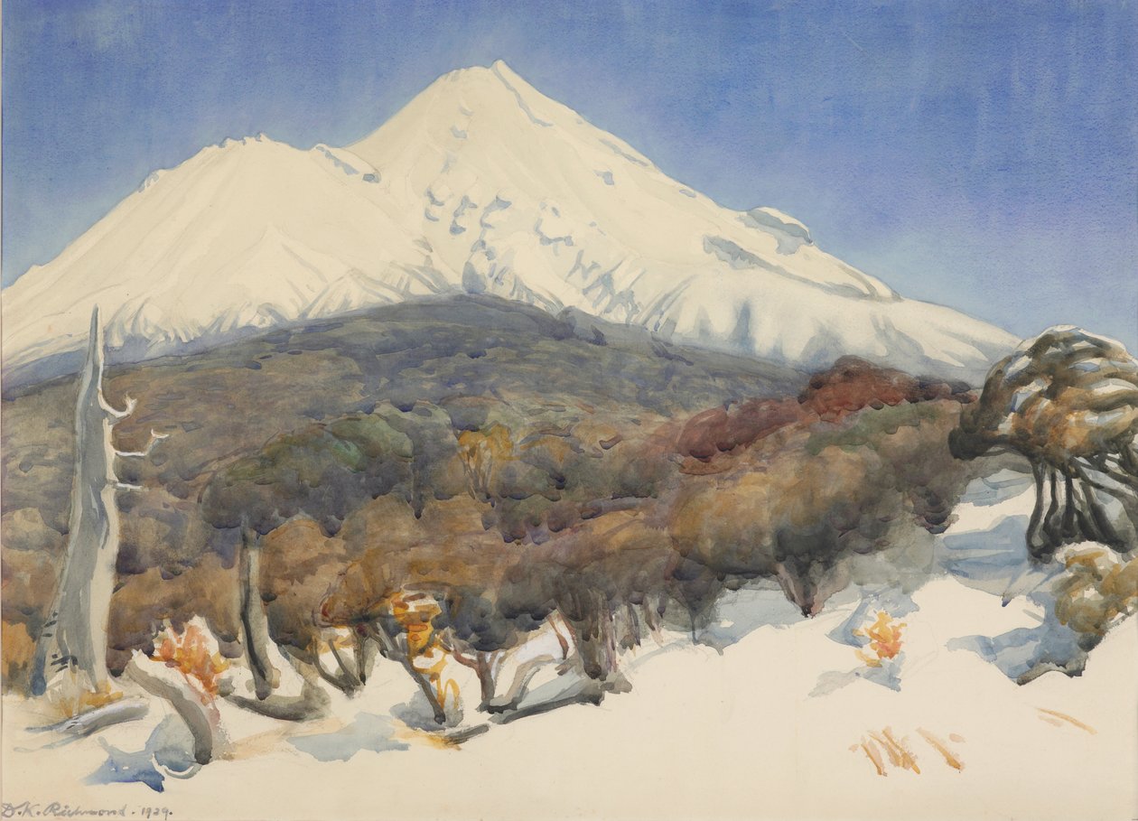 Mount Egmont by D. K. Richmond