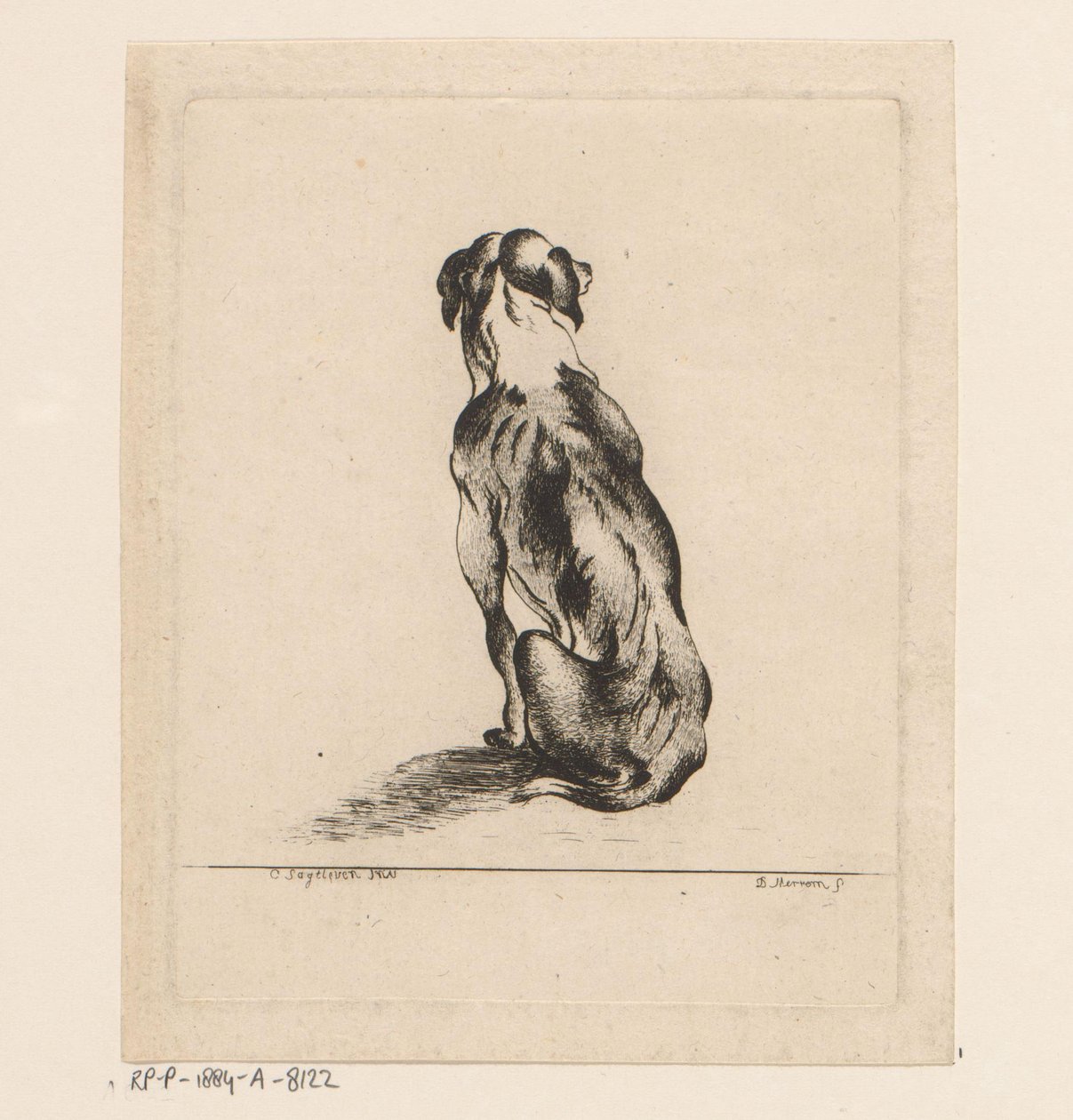Sitting Dog Seen from the Back by D. Merrem