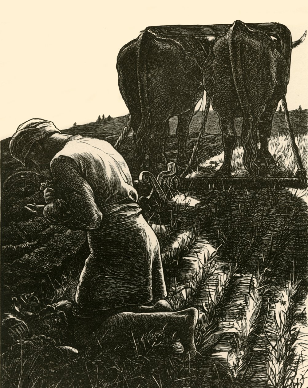 The Hidden Treasure, 1864, 1928 by Dalziel Brothers