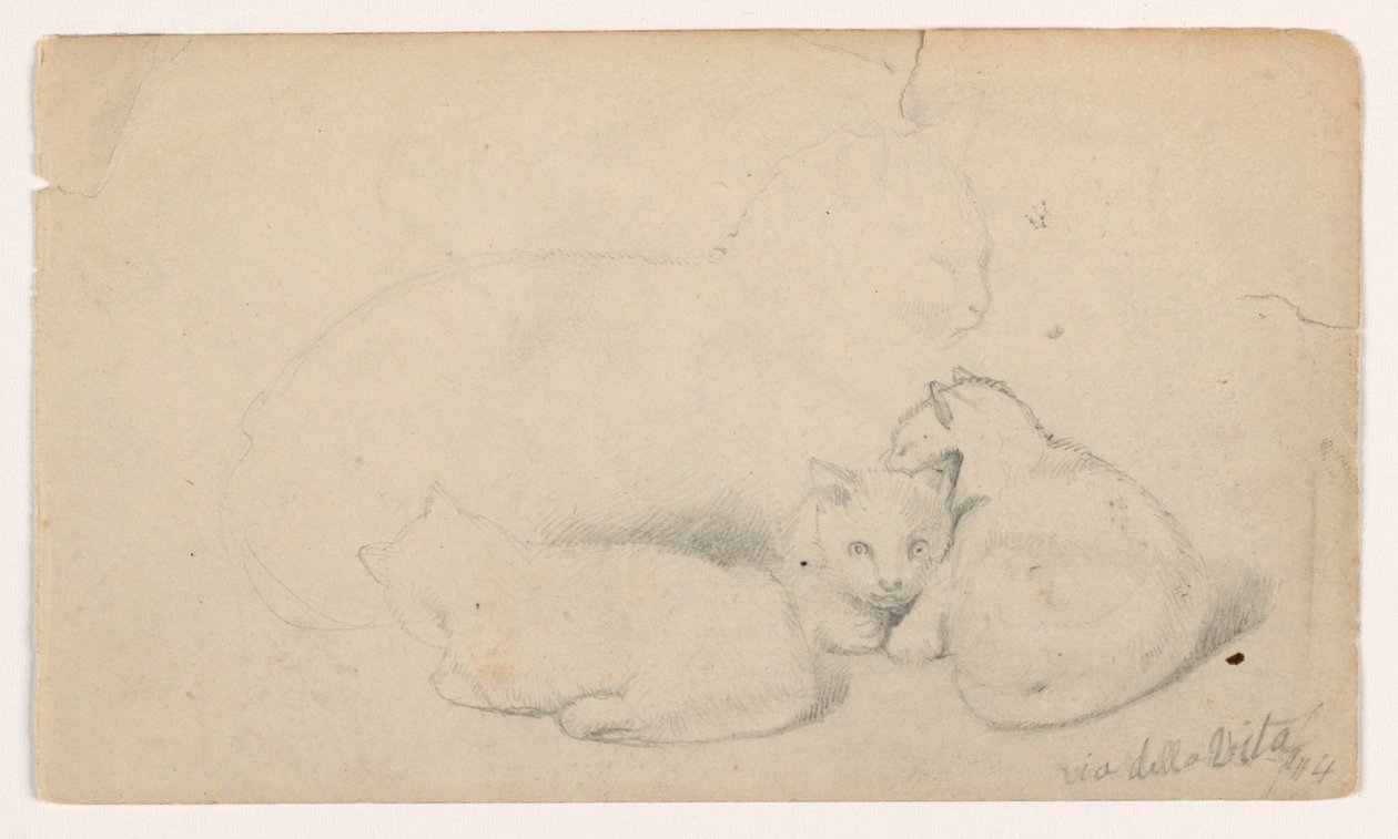 Cat and Three Kittens; Verso: Arab Man Seated Receiving a Man, Possibly After David Roberts, 1844 by Daniel Huntington