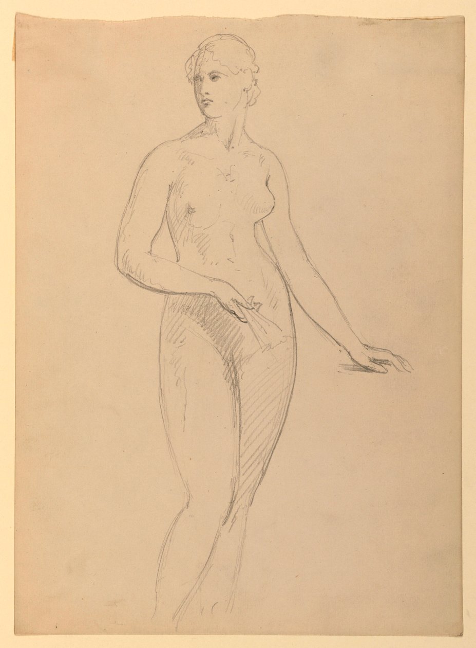 Mrs. Henry Schieffelin, S, 1881 by Daniel Huntington