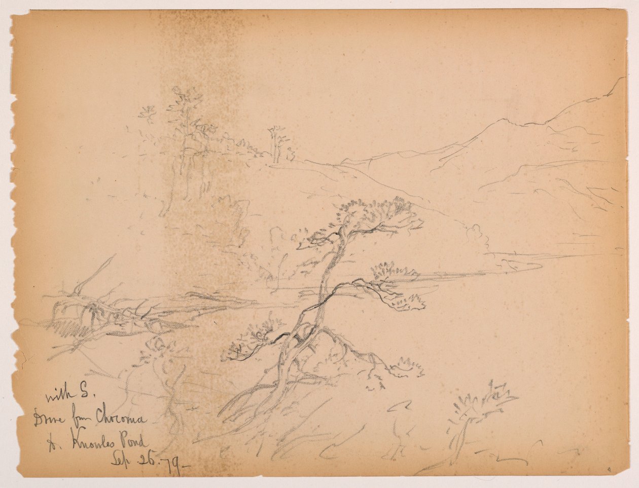 Drive from Chocorua to Knowles Pond by Daniel Huntington