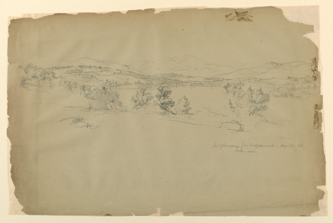 Lake Winnipesaukee from Wolfeboro Neck, Looking West by Daniel Huntington
