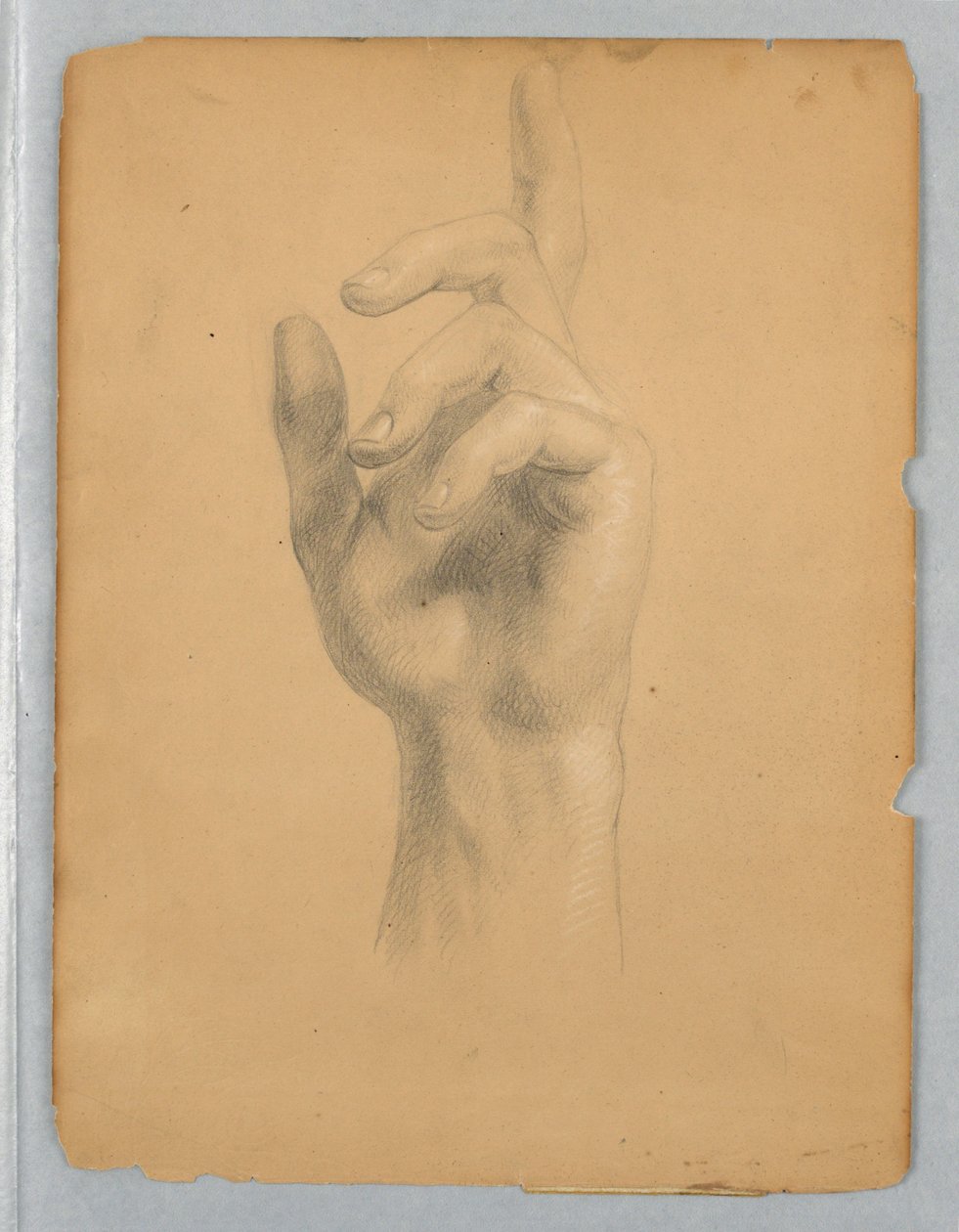 Study of Angel