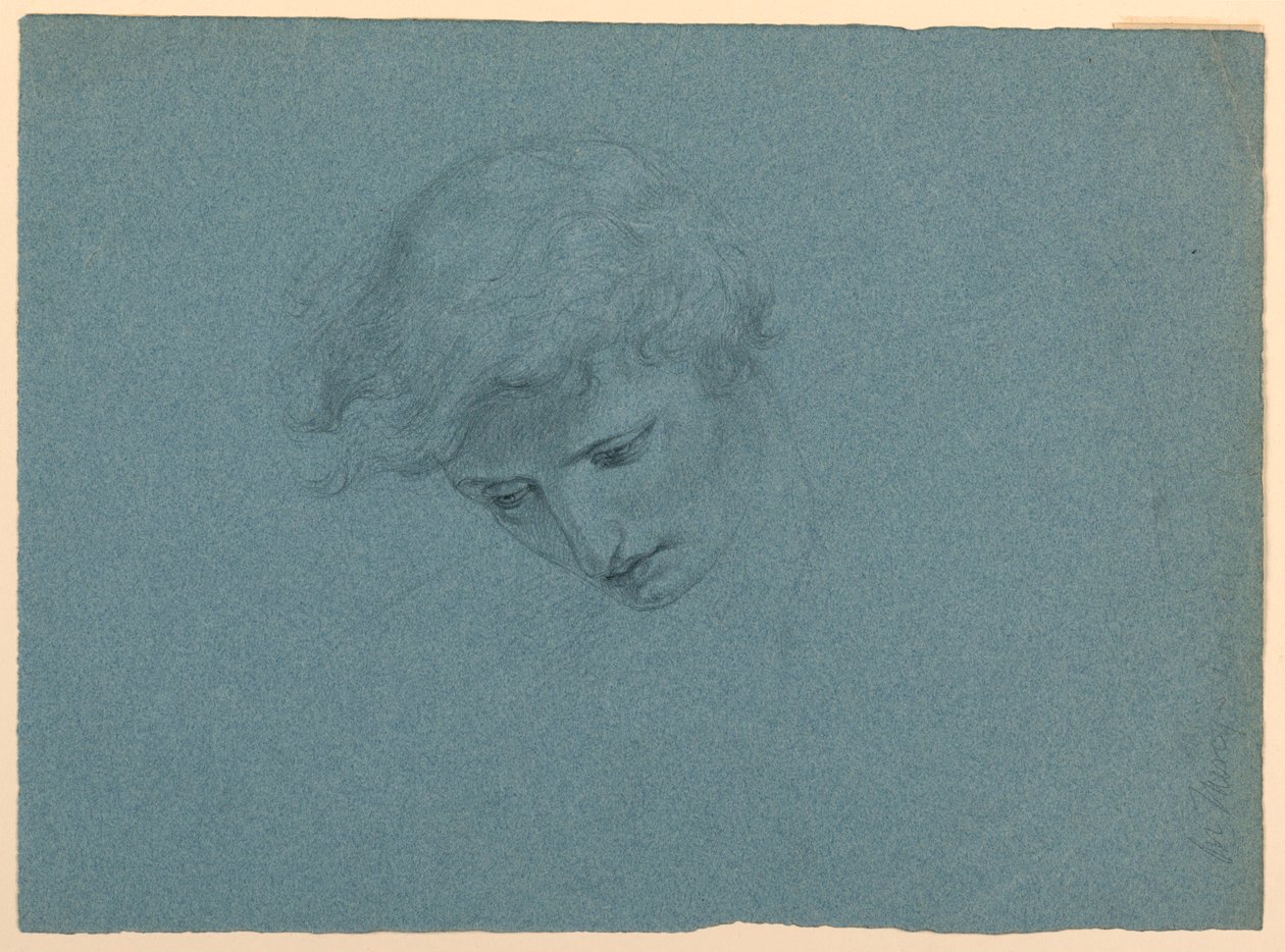 Study of Angel