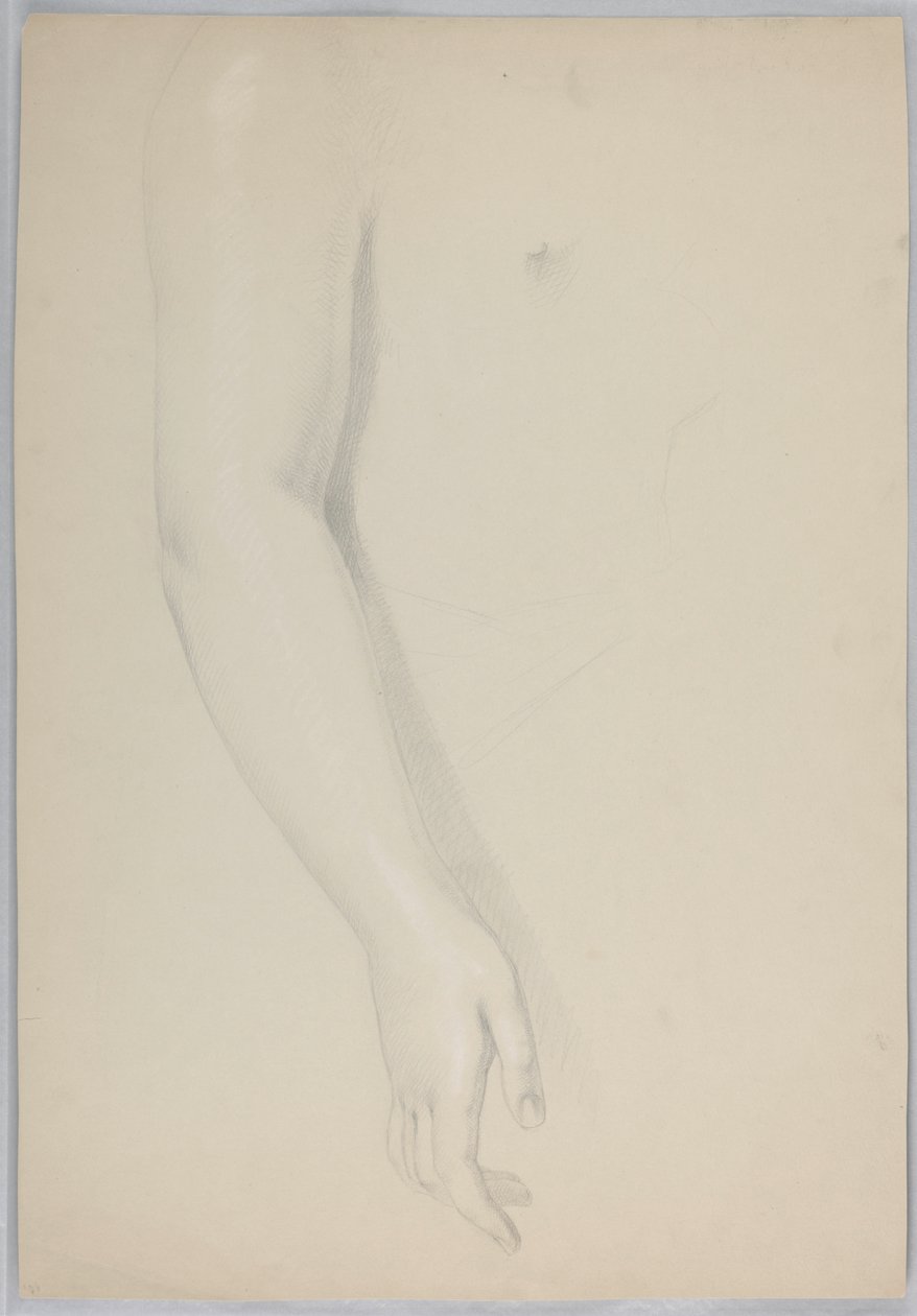 Study of an Arm for 