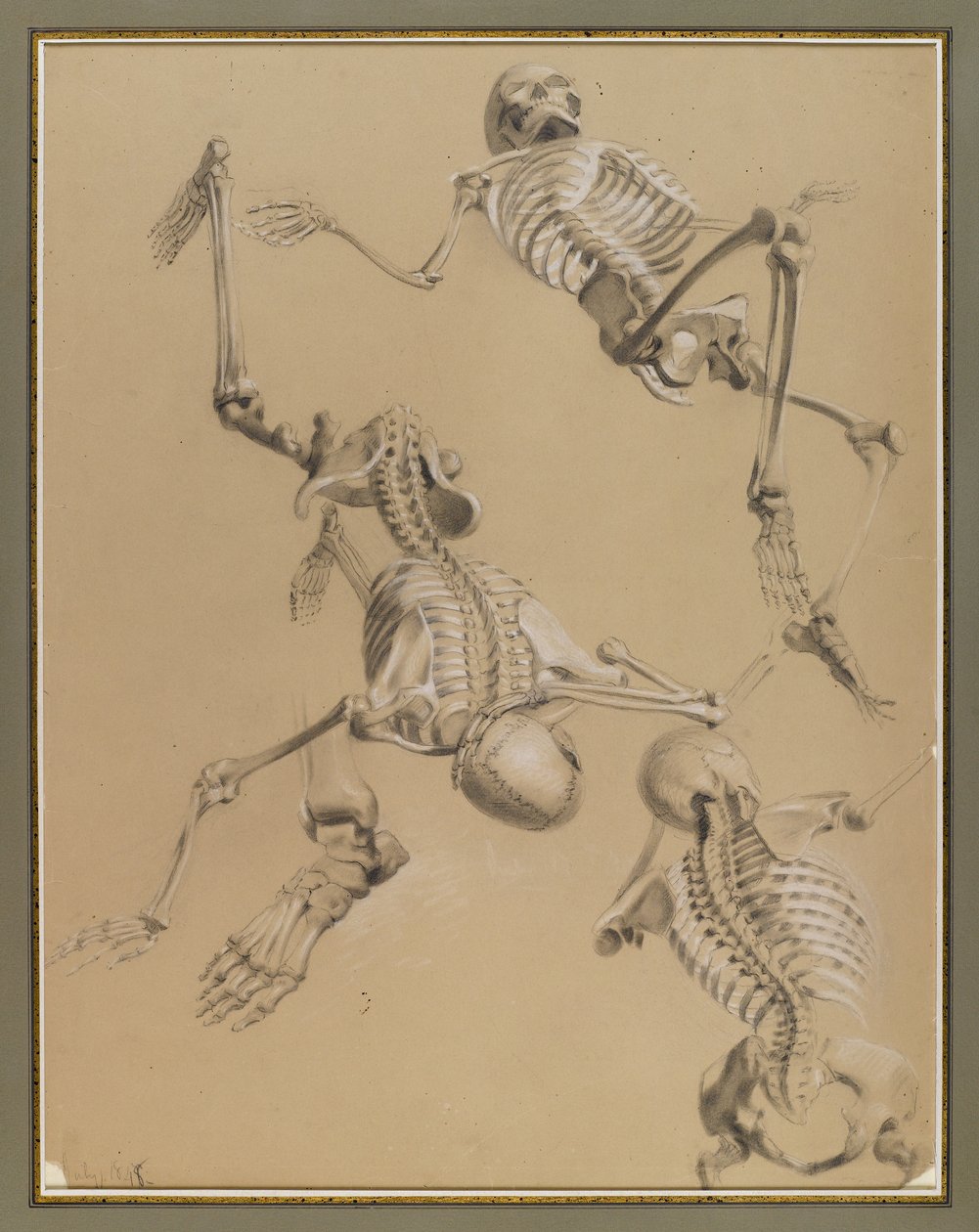 Study of skeletons, 1848 by Daniel Huntington