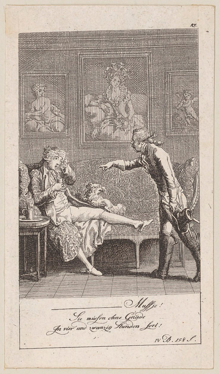 Plate 10 to Blumauer