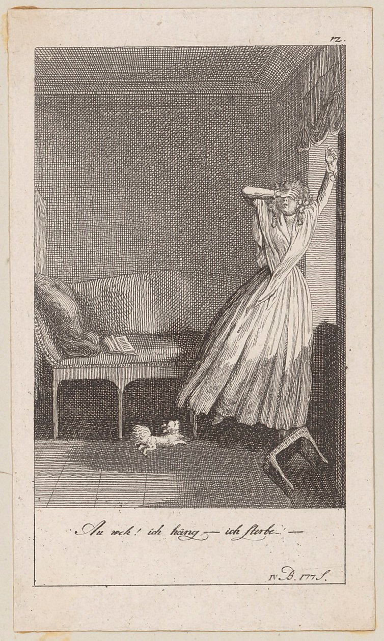 Plate 12 for Blumauer