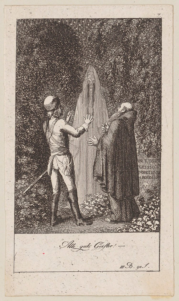 Plate 7 for Blumauer