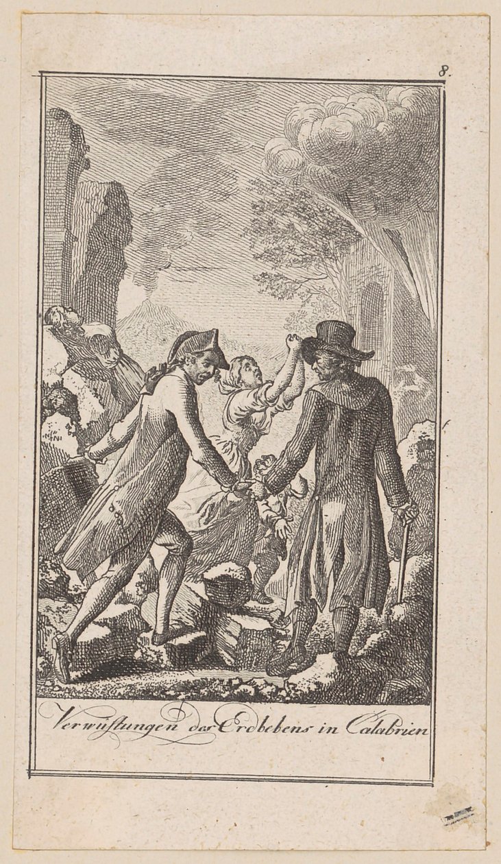 Plate 8 of 