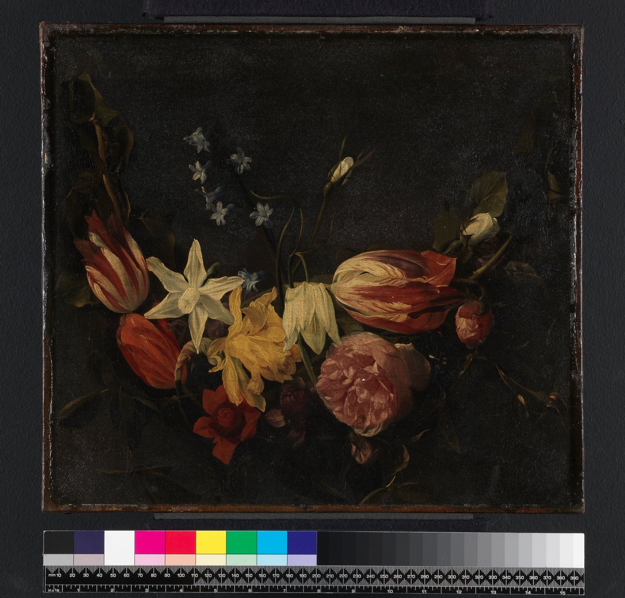 Festoon of Flowers by Daniel Seghers