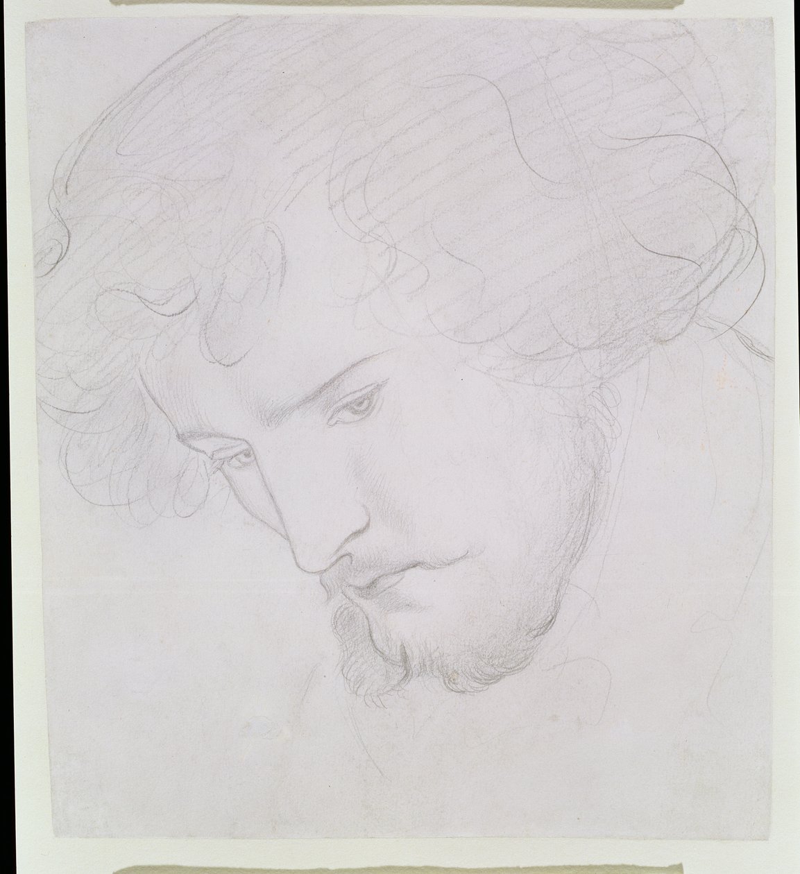 The Seed of David - Study for David by Dante Gabriel Charles Rossetti