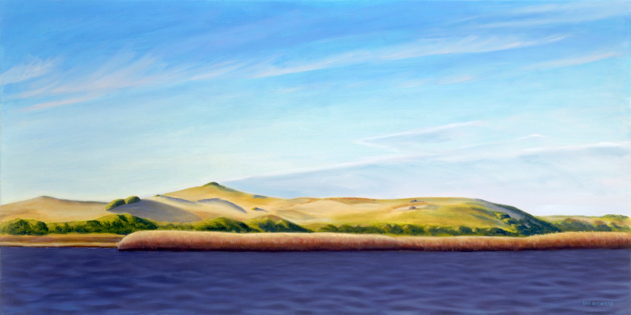 Entering the Provincelands by David Arsenault