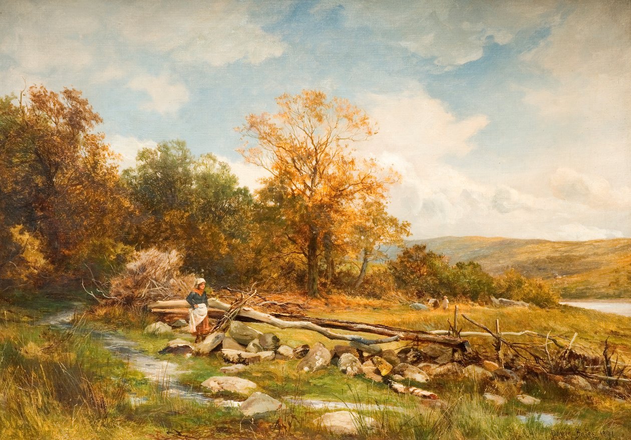 Tidal Fence on the River Conwy in Bachlediog, 1891 by David Bates