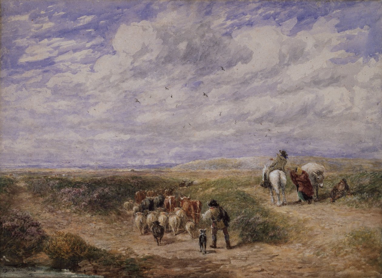 Keep the Left Road by David Cox