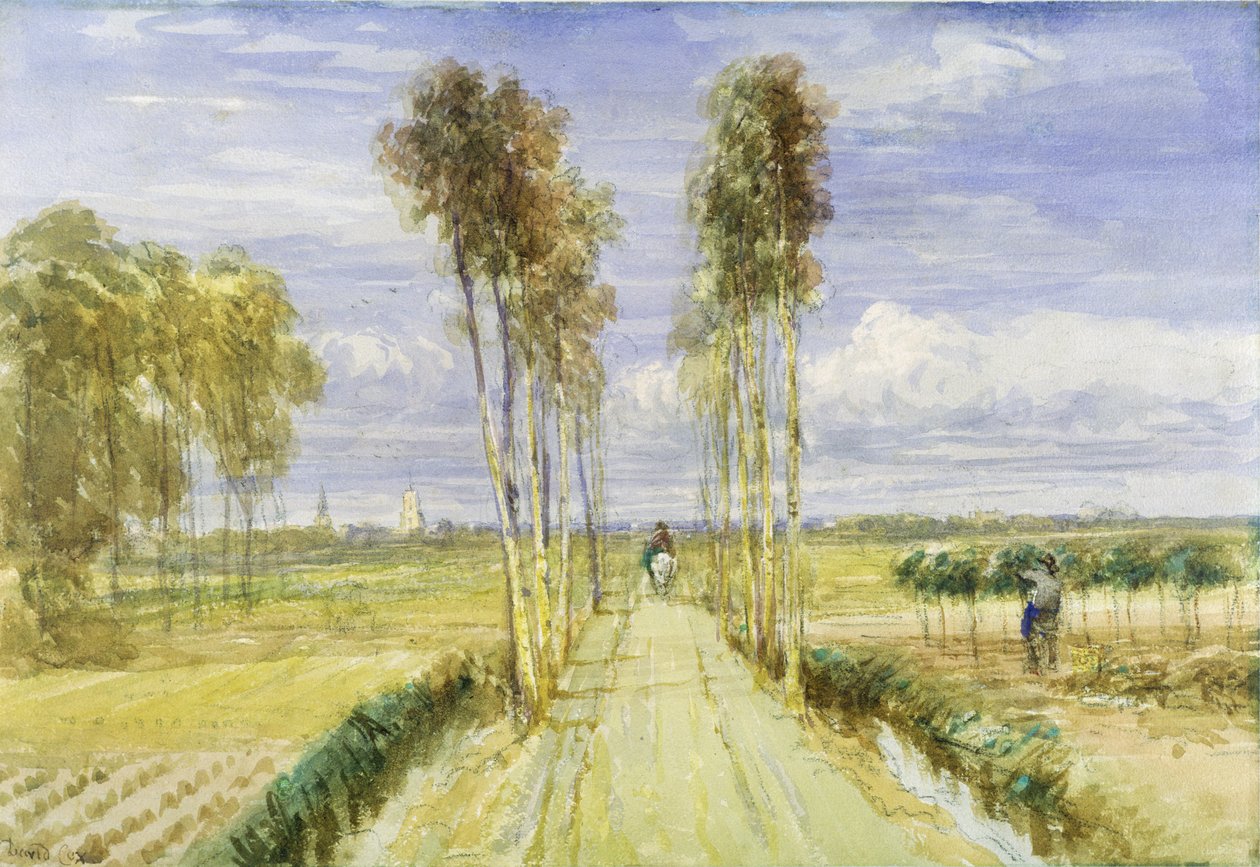 The Poplar Avenue by David Cox