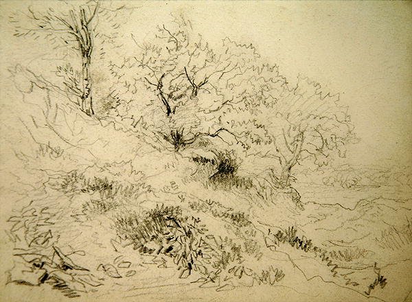 Welsh Landscape by David Cox
