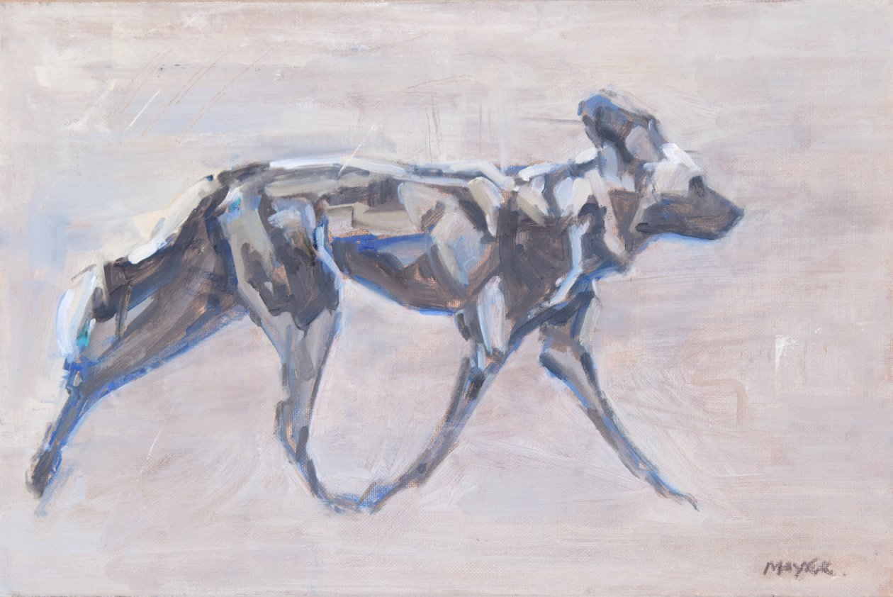 African Painted Dog by David Mayer