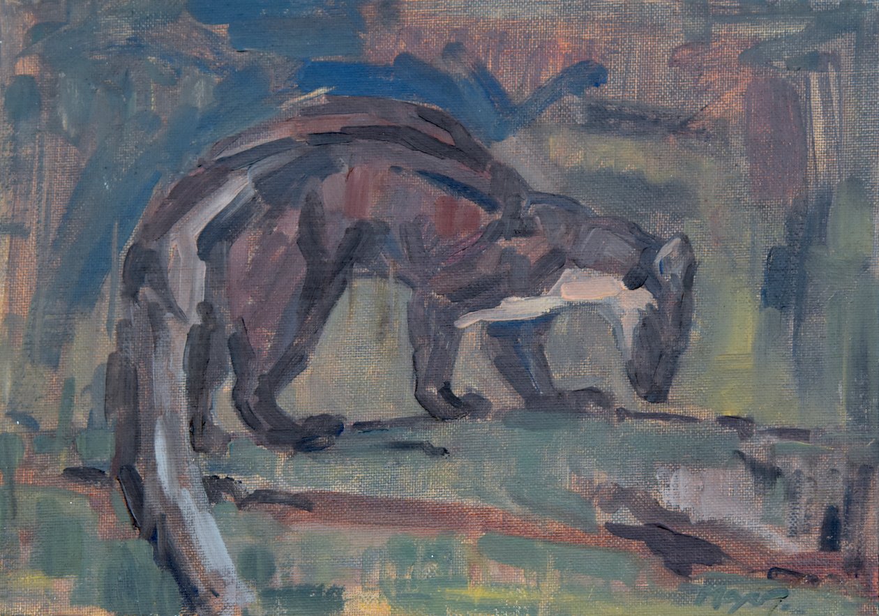 Pine Marten, 2023 by David Mayer