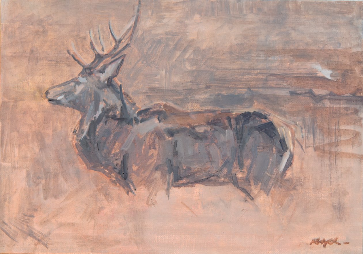 Red Deer Stag, 2023 by David Mayer