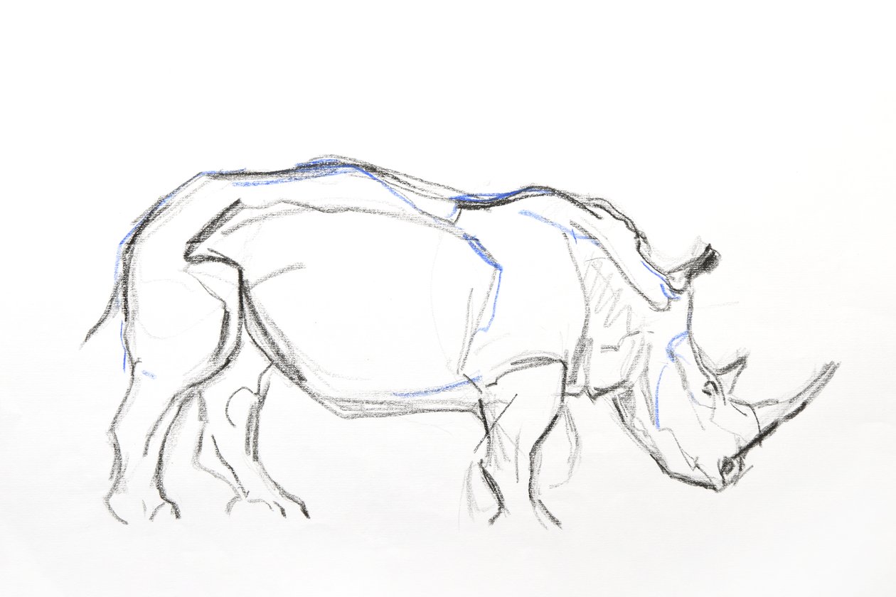 White Rhino, 2021 by David Mayer