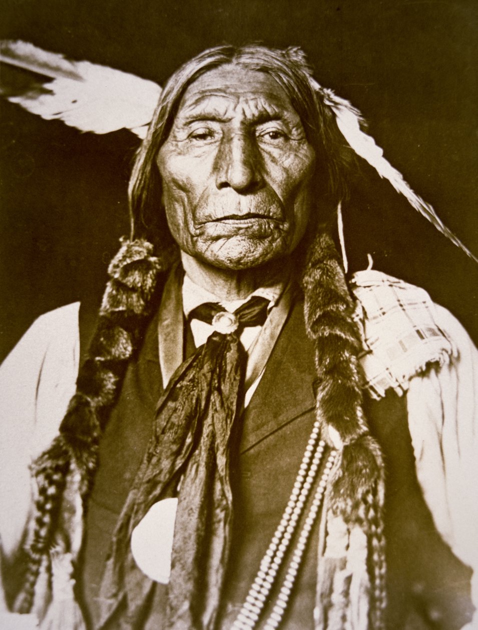 Wolf Robe (b.1841) 1909 by DeLancey W. Gill: Fine art print