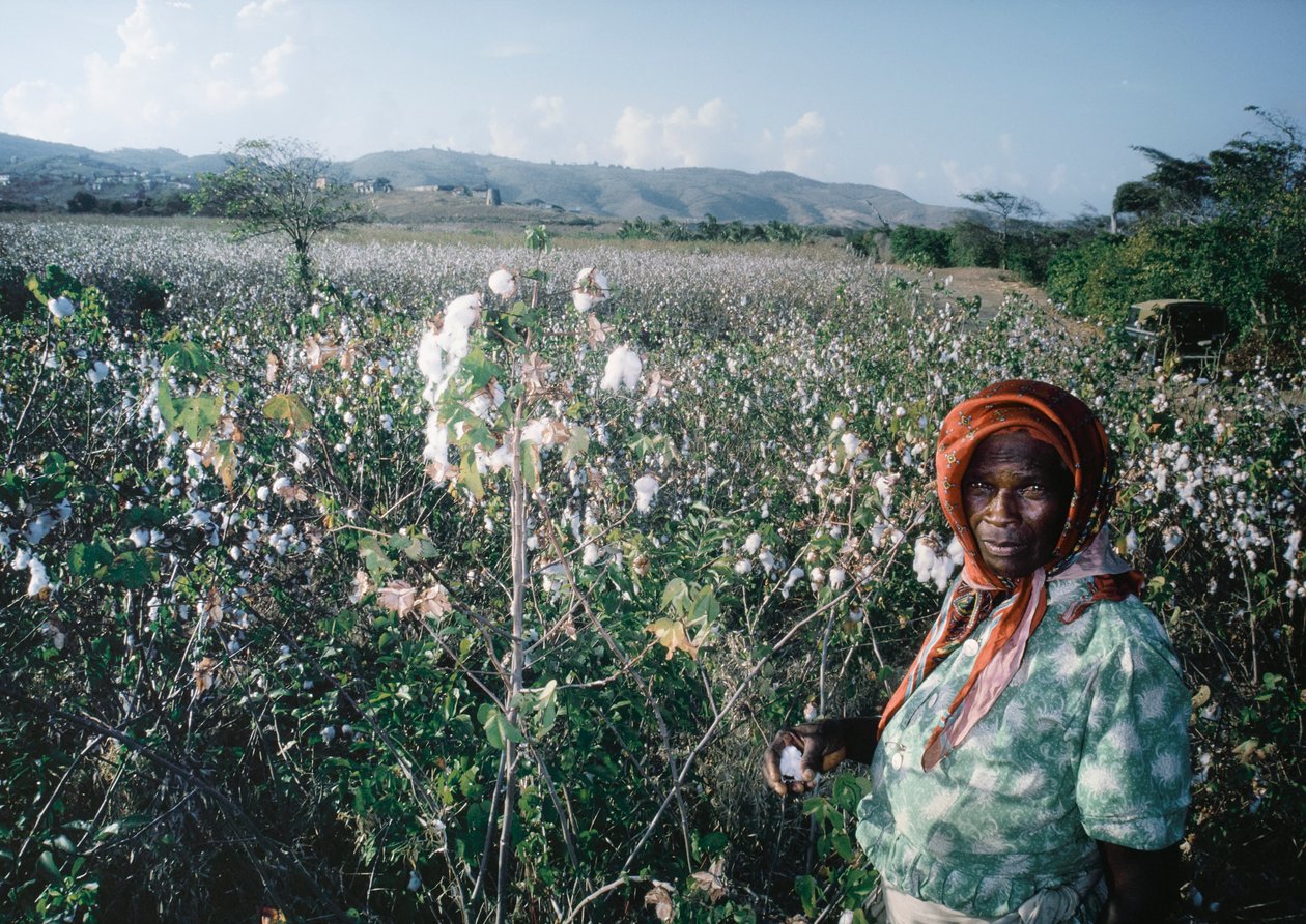 Woman Stands in Field of Sea Island, Grenadines by Dean Conger
