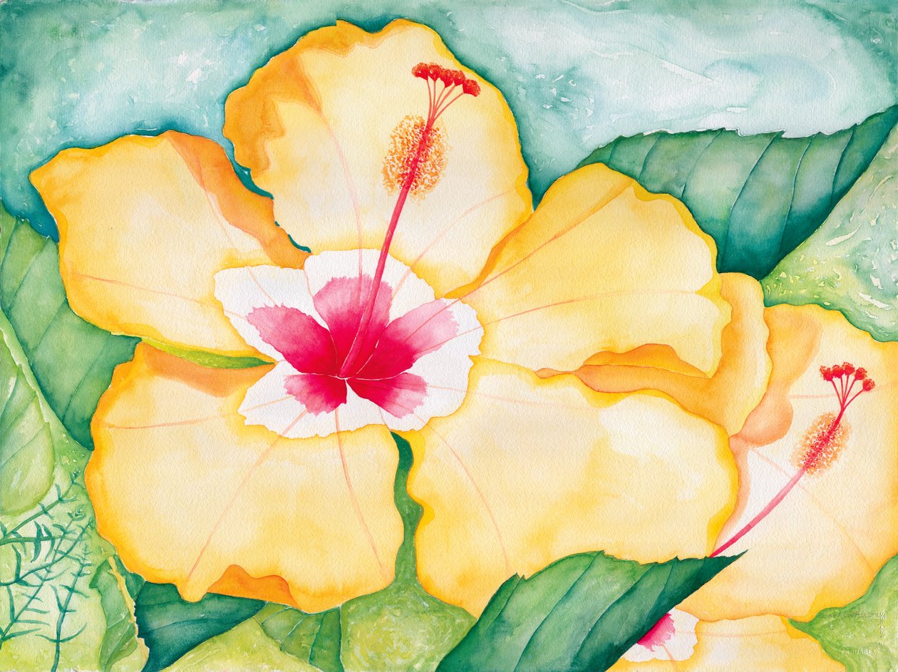 Yellow Hibiscus, 2006 by Deborah Eve Alastra