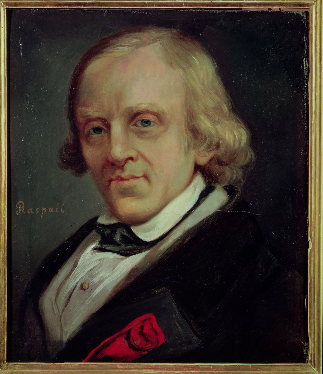 Francois Vincent Raspail (1794-1878) 1849 by Denis Bonnet